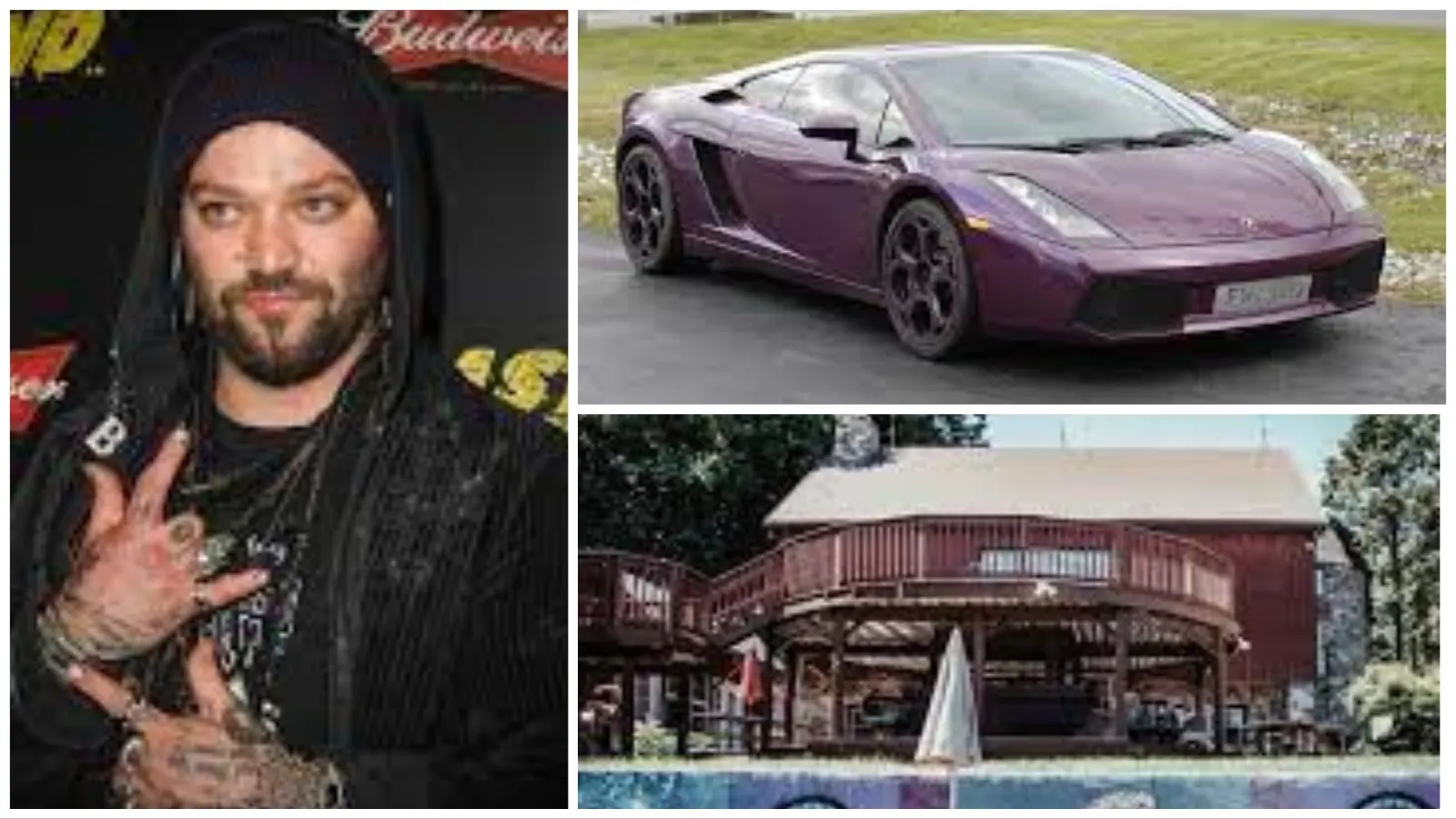 Bam Margera Net Worth 2023, Annual Income, Endorsements, Properties, Cars, Charities etc